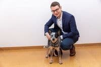 Finanzberatung Rebel