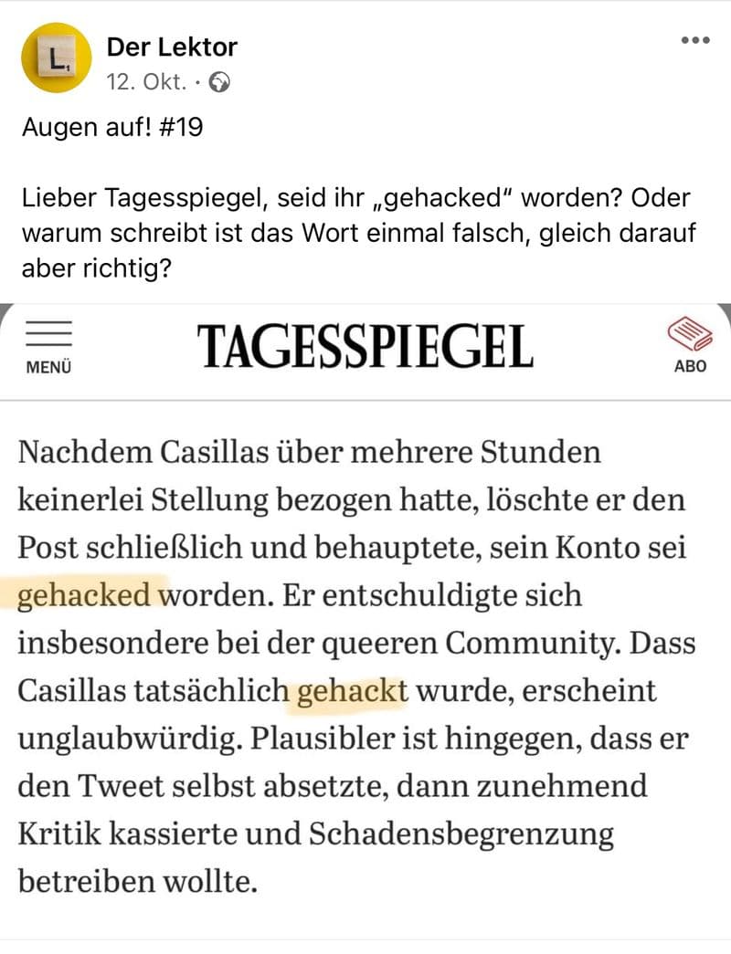 user-upload/business/work-media/q3fop33bplo4ej4te18a1h_der-lektor.jpeg